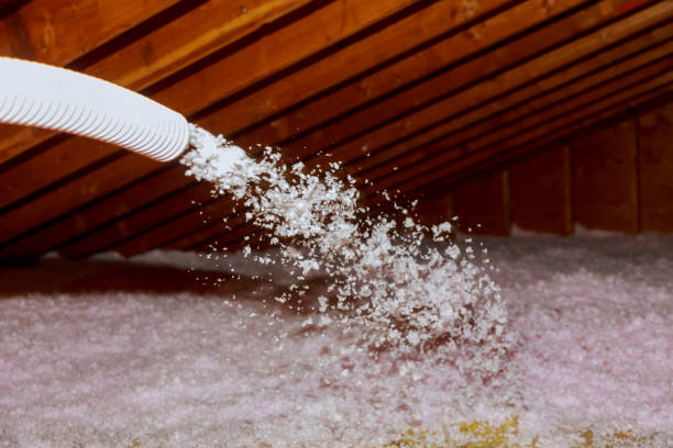 Best Insulation Maintenance and Repair in Novato, CA