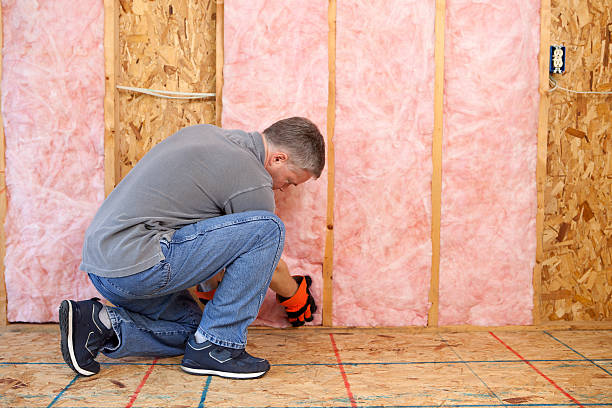 Best Insulation for Specific Applications in Novato, CA
