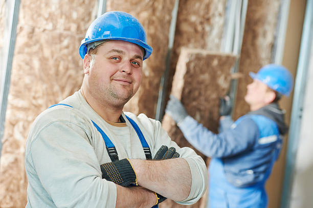 Best Types of Insulation in Novato, CA